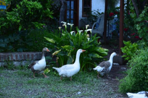 Alojamiento Rural Casa Quinta Peumayen